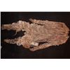 Image 2 : MUMMY ANCIENT EGYPTIAN CORPSE COMPLETE BODYSUIT COSTUME 1