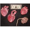 Image 2 : THE KNICK SILICONE HEARTS AND KIDNEY