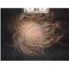 Image 1 : SEVERED SCALP WITH HAND PUNCHED HAIRS