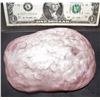 Image 1 : THE KNICK SILICONE BRAIN WITH MEMBRANE INTACT