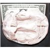 Image 2 : THE KNICK SILICONE BRAIN WITH MEMBRANE INTACT