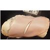 Image 1 : SILICONE TORSO GASH OR OPERATION APPLIANCE