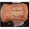 Image 1 : THE KNICK SILICONE ABDOMINAL SURGERY TORSO