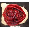 Image 1 : THE KNICK WEARABLE FOAM AUTOPSY APPLIANCE