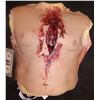 Image 1 : MIDNIGHT TEXAS SCREEN USED CUT OPEN CHEST WEARABLE
