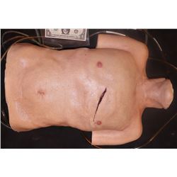 THE NICK SURGERY TORSO REUSABLE