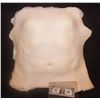 Image 1 : URETHANE FULL CHEST FOR INDUSTRIAL USE