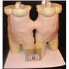 Image 1 : THE KNICK CONJOINED TWINS DUAL BODY APPLIANCE