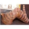 Image 2 : ZZ-CLEARANCE DEVIL DEMON ALIEN HORN