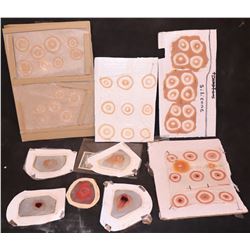 HUGE HORDE OF BULLET HOLES SILICONE FROM MISC PRODUCTIONS
