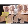Image 1 : HUGE HORDE OF ZOMBIE HANDS SILICONE APPLIANCES
