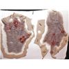 Image 2 : HUGE HORDE OF ZOMBIE HANDS SILICONE APPLIANCES
