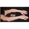 Image 1 : DOLF LUNDGREN SILICONE ARMS MATCHED PAIR