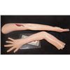 Image 2 : SILICONE PAIR OF FEMALE ARMS UNFINISHED