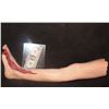 Image 1 : THE KNICK UNFINISHED SILICONE LEG