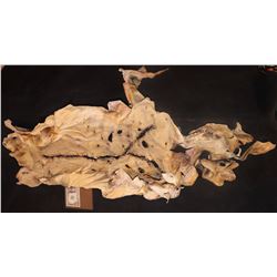 HUMAN AUTOPSY SKIN MADE OF REAL RAW HIDE VERY CREEPY!