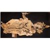 Image 1 : HUMAN AUTOPSY SKIN MADE OF REAL RAW HIDE VERY CREEPY!