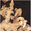 Image 2 : HUMAN AUTOPSY SKIN MADE OF REAL RAW HIDE VERY CREEPY!