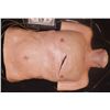 Image 1 : THE NICK SURGERY TORSO REUSABLE