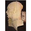 Image 3 : ROTTEN ZOMBIE UNUSED HEAD 3