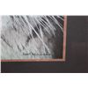 Image 2 : 1 LARGE ROBERT BATEMAN 1998 TIGER