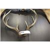 Image 1 : SET OF DEER MUGS