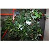 Image 2 : LOT OF ARTIFICIAL TREES AND DECORATIVE STICKS