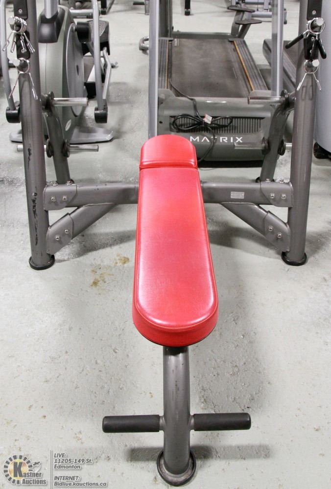 Commercial Grade Bench Press