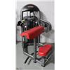Image 1 : COMMERCIAL GRADE TRICEPS EXTENSION MACHINE