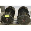 Image 1 : PAIR OF COMMERCIAL DUMBELLS 80LBS