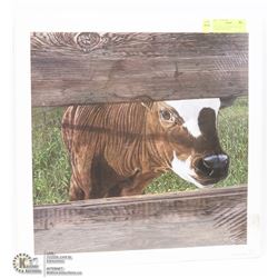 YVETTE MOOR LIMITED EDITION "CURIOUS WONDER"