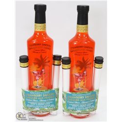 LOT OF 2 STRAWBERRY DAIQUIRI COCKTAIL MIX SET