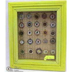 25 CELTIC PCS IN GREEN DISPLAY CASE