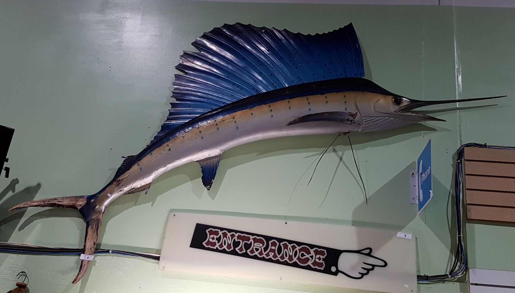 TAXIDERMY SWORDFISH