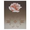 Image 1 : David Haidle, Rose Matrix VIII, Serigraph