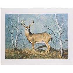 Peter Darro, White Tail Deer, Lithograph