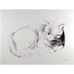 Haller, Basking Cat, Etching