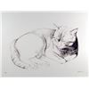 Image 1 : Haller, Basking Cat, Etching