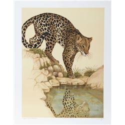 Caroline Schultz, Leopard at Waterhole, Lithograph
