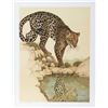 Image 1 : Caroline Schultz, Leopard at Waterhole, Lithograph