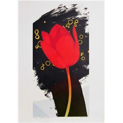 Michael Knigin, Perfect Witness, Lithograph