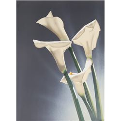 Jochen Labriola, White Calla Lilies 3, Lithograph