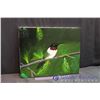 Image 2 : Humming Bird Original Painting