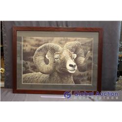 Framed Ram Print "Alpine Royalty" #177/395 by Tyler Thompson