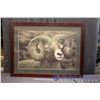 Image 1 : Framed Ram Print "Alpine Royalty" #177/395 by Tyler Thompson