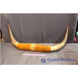 Decorative Bull Horns
