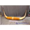 Image 1 : Decorative Bull Horns