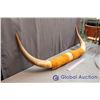 Image 2 : Decorative Bull Horns