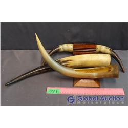 3 pcs Cattle Horn Decor