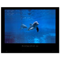 Mother Ocean - Mexico by Wyland